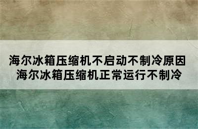 海尔冰箱压缩机不启动不制冷原因 海尔冰箱压缩机正常运行不制冷